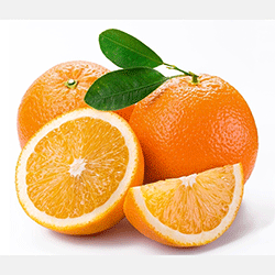 Best Oranges for Juicing